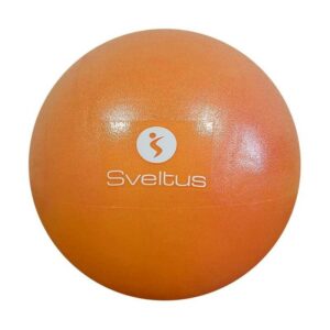 BALLON PEDAGOGIQUE O22/24 CM BTE