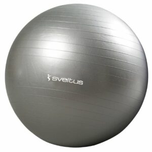 GYMBALL GRIS O65 CM BTE