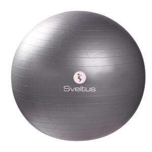 GYMBALL O55 CM BTE