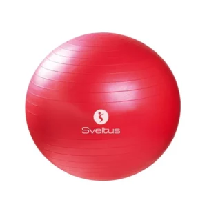 GYMBALL ROUGE O65 CM BTE