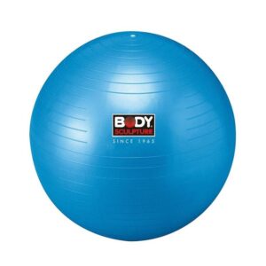 ANTI-BURST GYMBALL 75CM avec pompe incluse