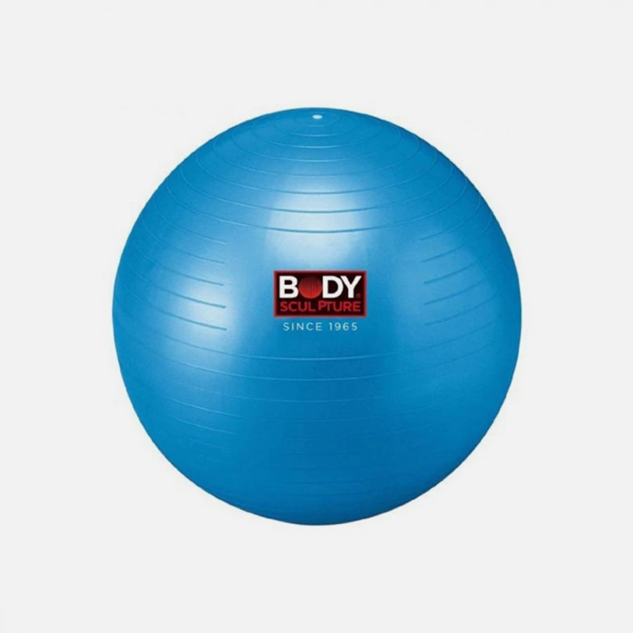 ANTI-BURST GYMBALL WITH PUMP DVD