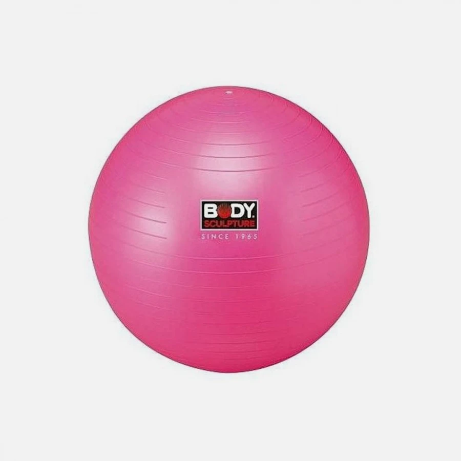 ANTI-BURST GYMBALL WITH PUMP